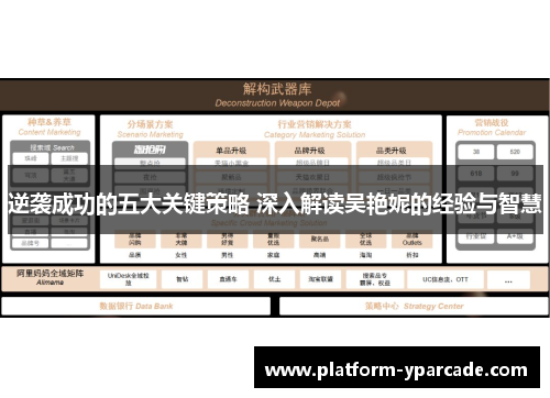逆袭成功的五大关键策略 深入解读吴艳妮的经验与智慧