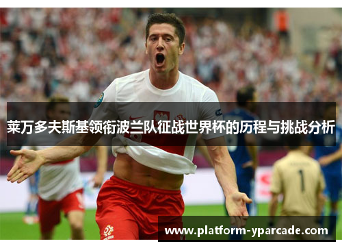 莱万多夫斯基领衔波兰队征战世界杯的历程与挑战分析