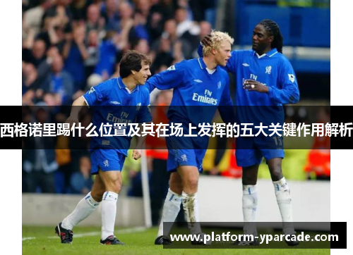 西格诺里踢什么位置及其在场上发挥的五大关键作用解析