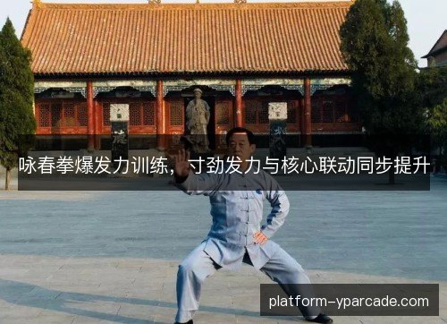 咏春拳爆发力训练，寸劲发力与核心联动同步提升
